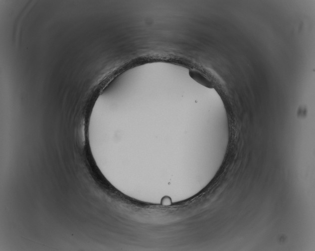 X0000096990020200803071104