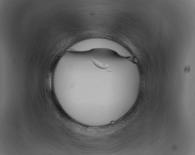 X0000096990022200803071104