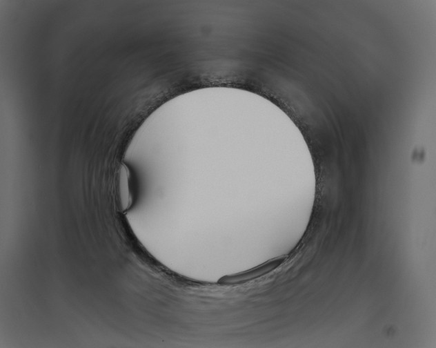 X0000096990025200803071104