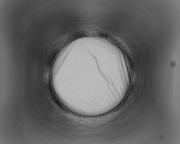 X0000096990026200803071104