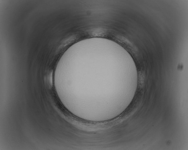 X0000096990028200803071104