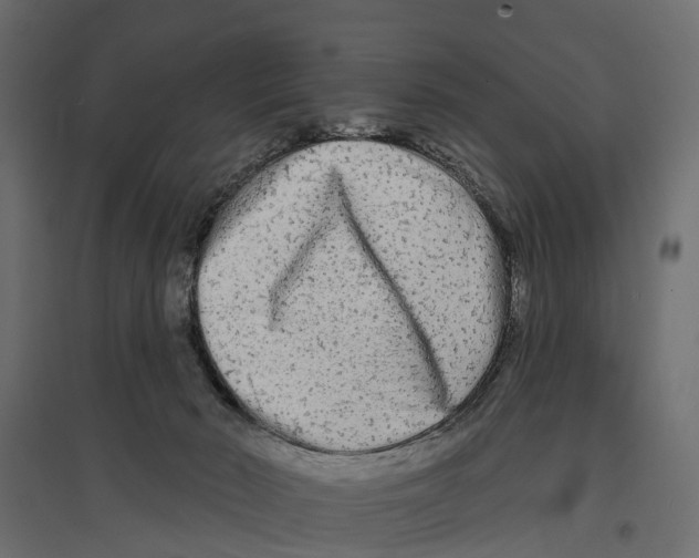 X0000096990030200803071104