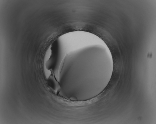 X0000096990031200803071104