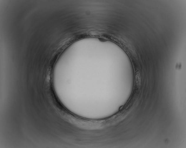 X0000096990032200803071104