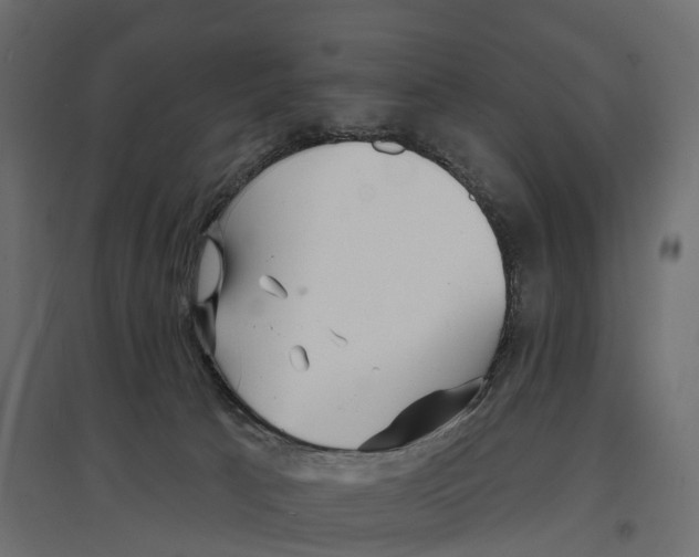 X0000096990033200803071104