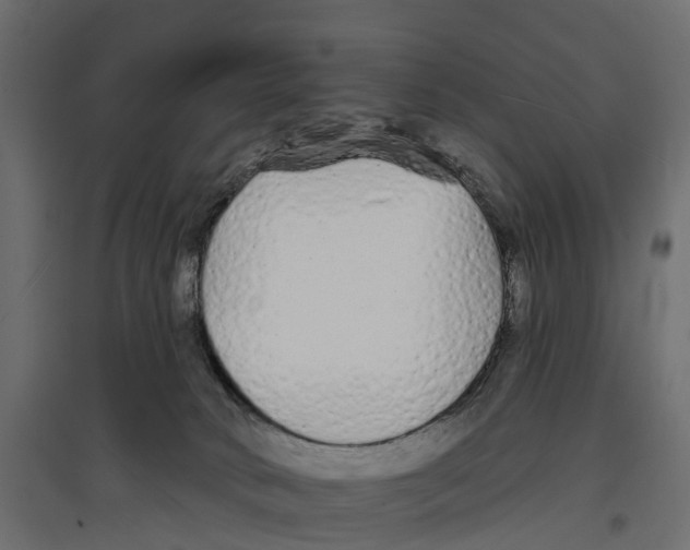 X0000096990034200803071104