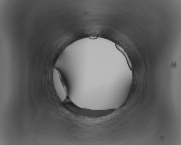 X0000096990037200803071104