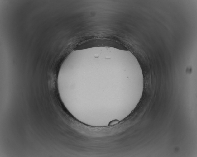 X0000096990038200803071104