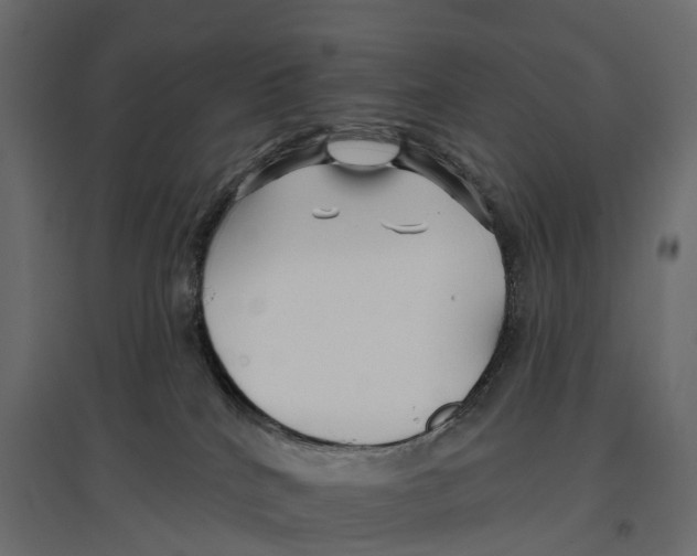 X0000096990040200803071104