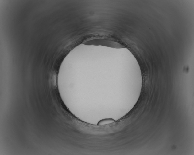 X0000096990042200803071104