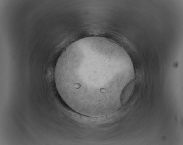 X0000096990043200803071104