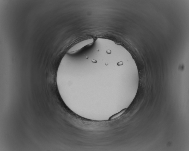 X0000096990044200803071104