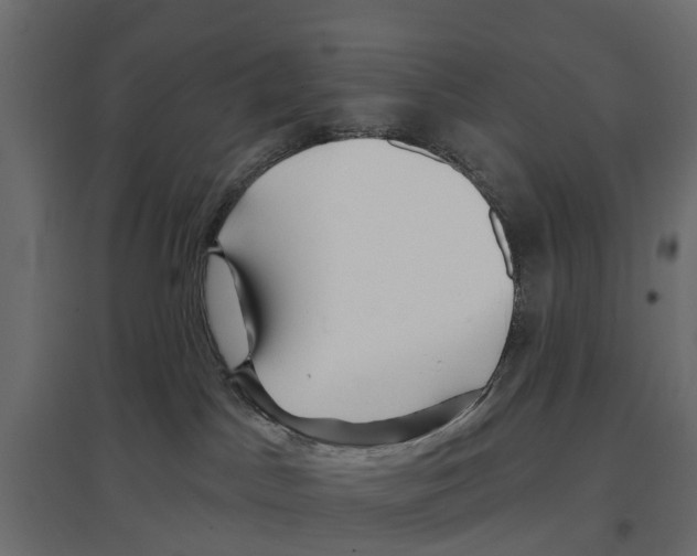 X0000096990045200803071104