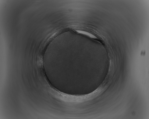 X0000096990048200803071104