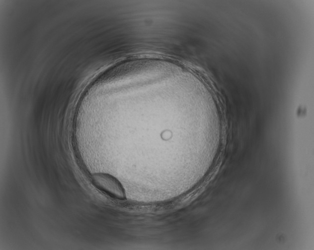 X0000096990049200803071103