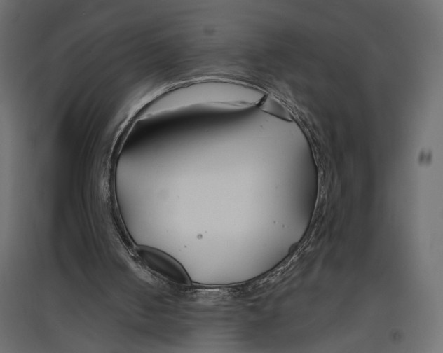 X0000096990050200803071103