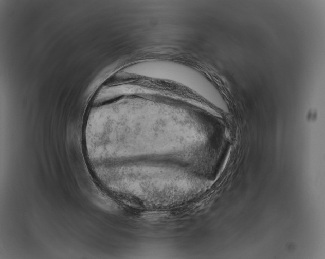 X0000096990051200803071103