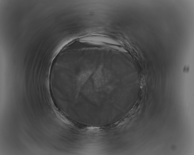 X0000096990052200803071103