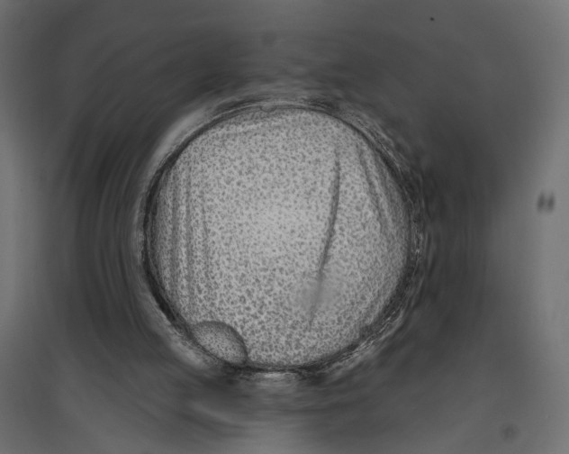 X0000096990053200803071103