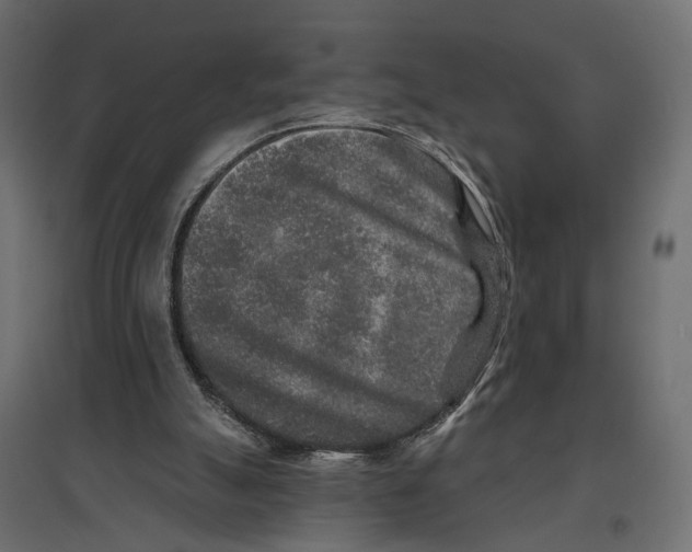 X0000096990055200803071103