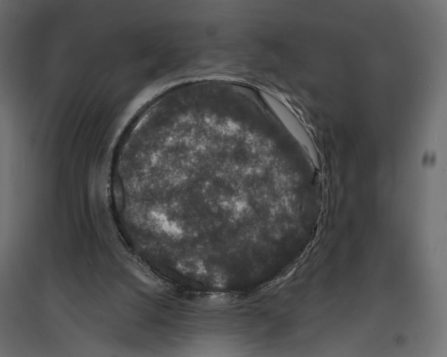 X0000096990056200803071103