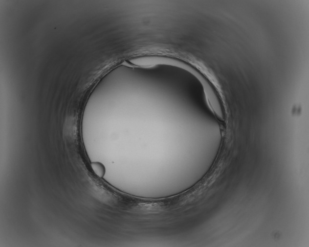 X0000096990057200803071103