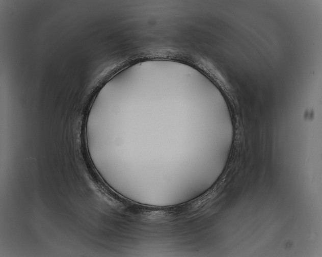 X0000096990058200803071103