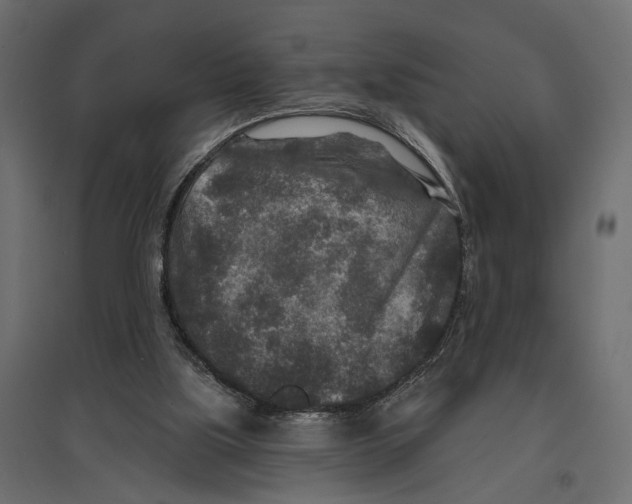 X0000096990059200803071103