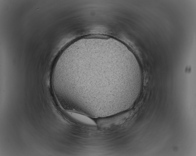 X0000096990060200803071103