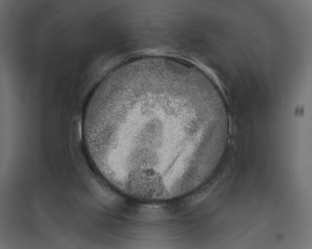 X0000096990061200803071103