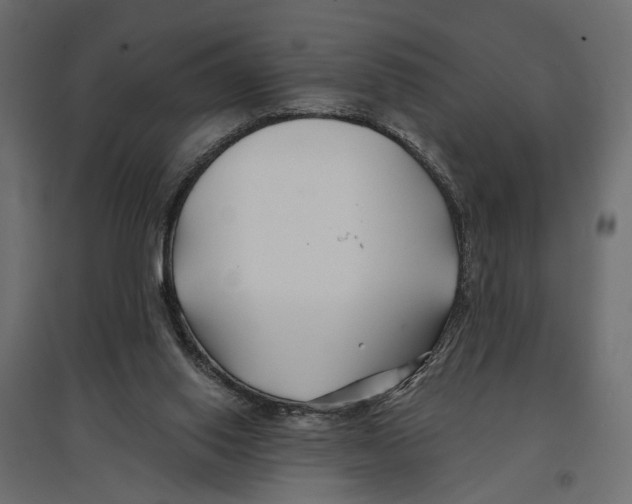 X0000096990062200803071103