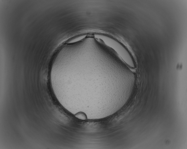 X0000096990063200803071103