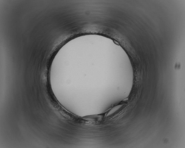 X0000096990064200803071103