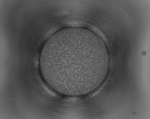 X0000096990065200803071103