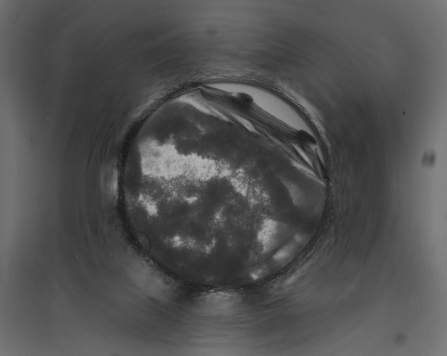 X0000096990067200803071103