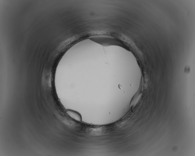 X0000096990068200803071103