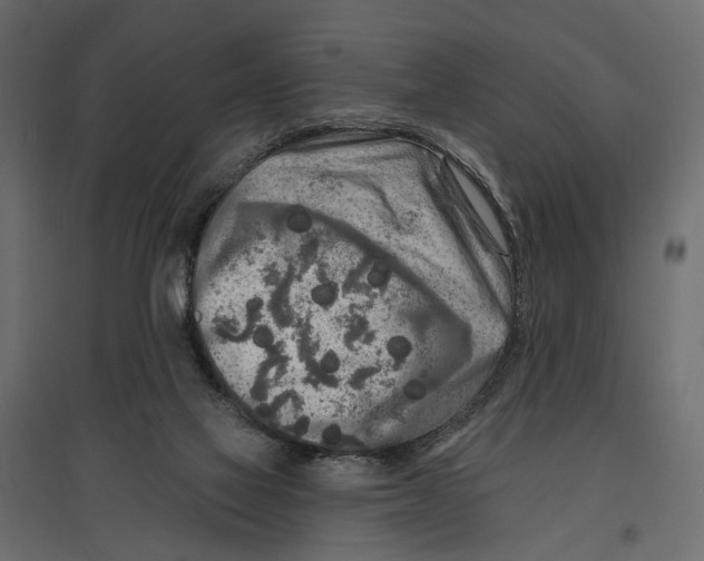 X0000096990069200803071103