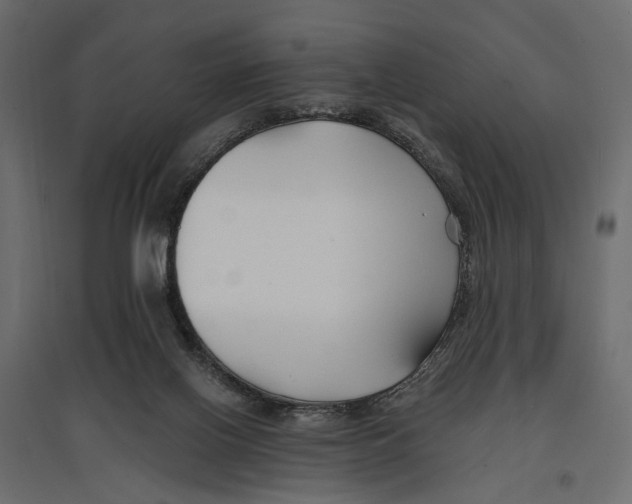 X0000096990070200803071103