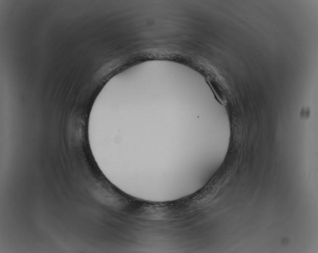 X0000096990071200803071103