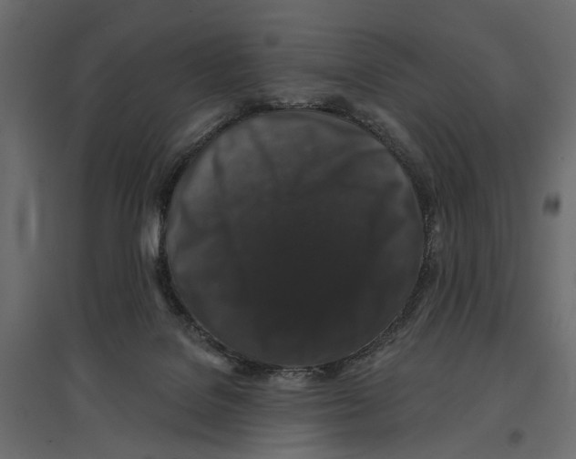 X0000096990076200803071103