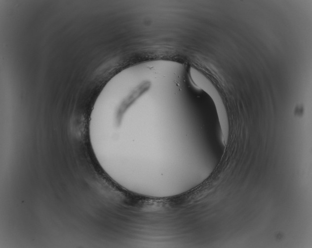 X0000096990077200803071103