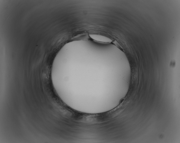 X0000096990078200803071103