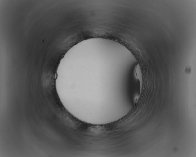 X0000096990079200803071103