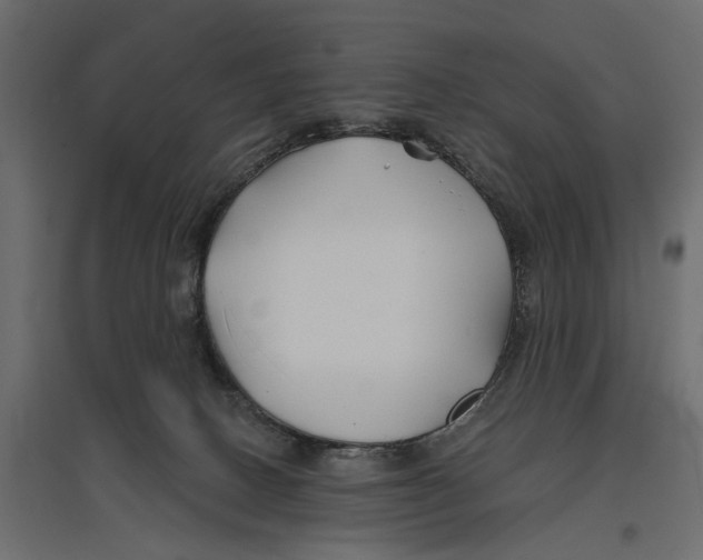 X0000096990082200803071103