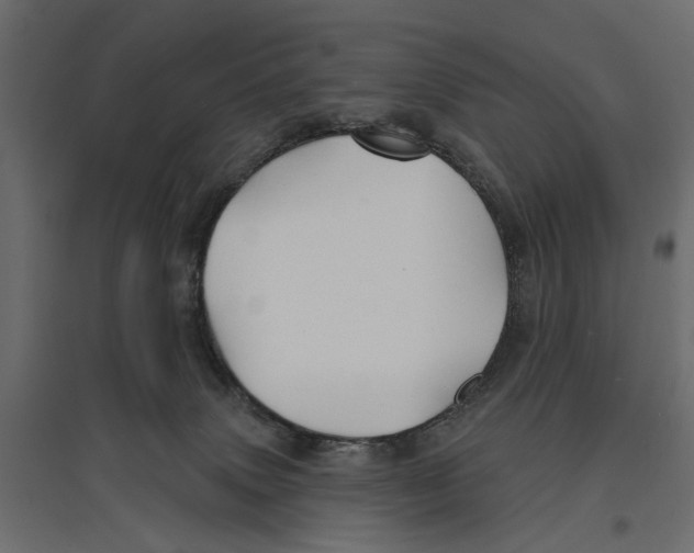 X0000096990083200803071103