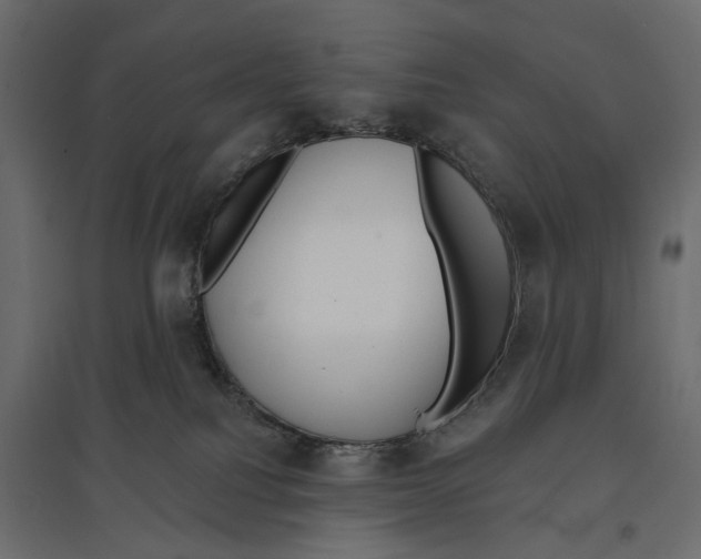 X0000096990088200803071103