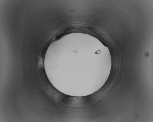 X0000096990089200803071103