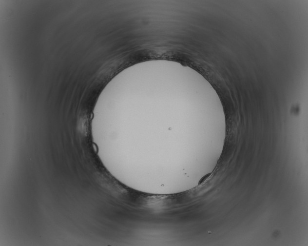 X0000096990090200803071103