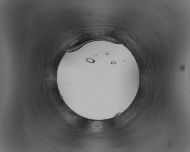 X0000096990091200803071103