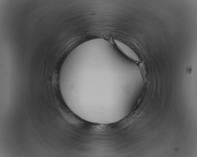 X0000096990092200803071103